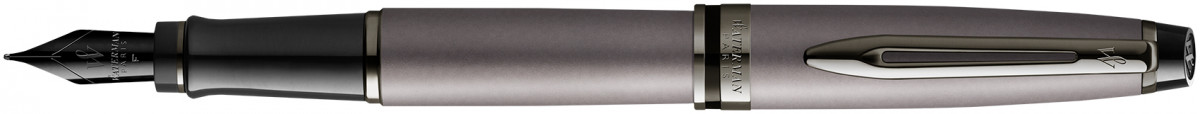 Waterman Expert Fountain Pen - Metallic Silver Ruthenium Trim
