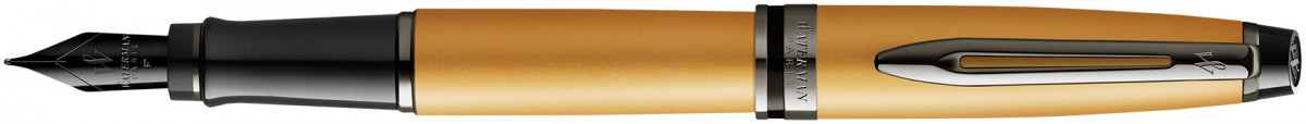 Waterman Expert Fountain Pen - Gold Ruthenium Trim
