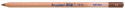 Bruynzeel Design Pastel Pencil - Dark Brown