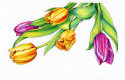 Spectrum Noir Discovery Kit - Illustration - Picture 4
