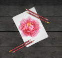 Spectrum Noir Premium Pencil Paper Pad - 9 x 12 - Picture 1