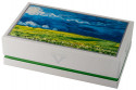 Visconti Van Gogh Ballpoint Pen - Wheatfield - Picture 1