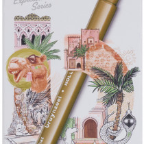 Bruynzeel Fineliner Brushpen Set - Marrakesh Colours (Pack of 6)
