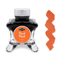 Diamine Inkvent Christmas Ink Bottle 50ml - Peach Punch