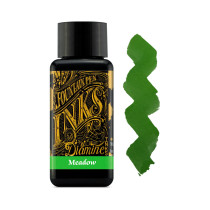 Diamine Ink Bottle 30ml - Meadow