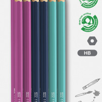 Faber-Castell 1111 Graphite Pencil - Coloured HB (Blister of 12)