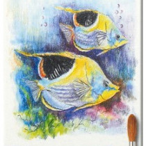 Koh-I-Noor 3717 Aquarell Coloured Pencils - Assorted Fish Colours (Pack of 18)