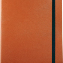 Sheaffer Ruled Journal - Brown - Large