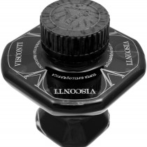 Visconti Ink Bottle (60ml)