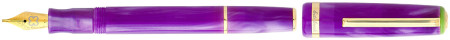 Esterbrook JR Paradise Pocket Fountain Pen - Purple Passion