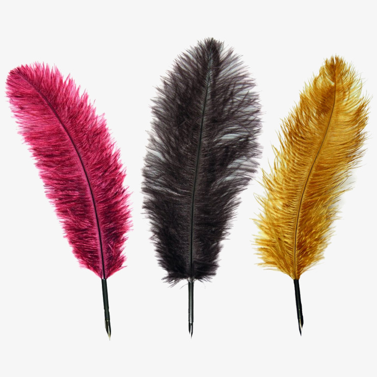 Manuscript Manuscript Quill Pens - Assorted Decorative Colours