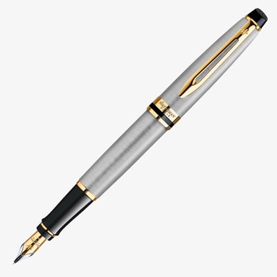 Waterman Expert Fountain Pen - Stainless Steel Gold Trim