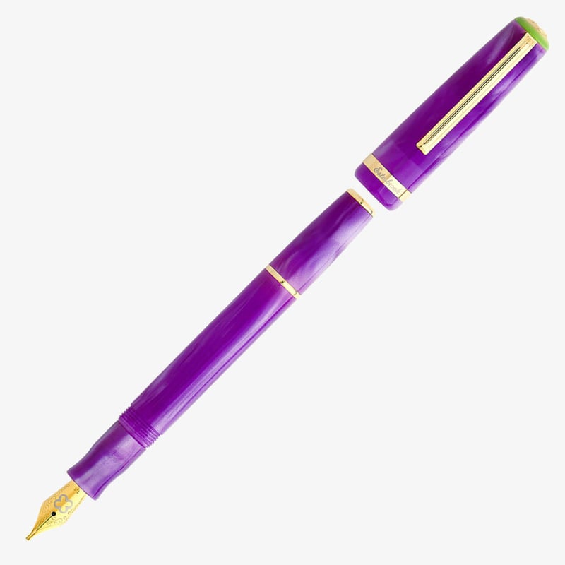 Esterbrook Esterbrook JR Paradise Pocket Fountain Pen - Purple Passion