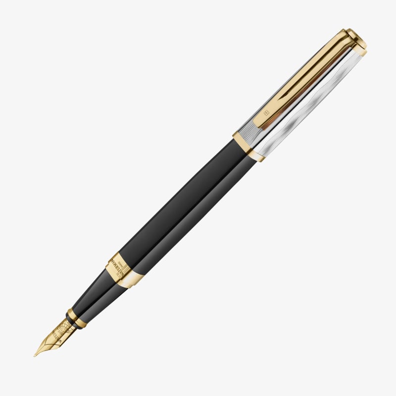 Waterman Waterman Exception Reflections of Paris Fountain Pen - Deluxe Black