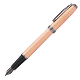 Sheaffer Prelude Fountain Pen - Brushed Copper Gunmetal Trim - Picture 1