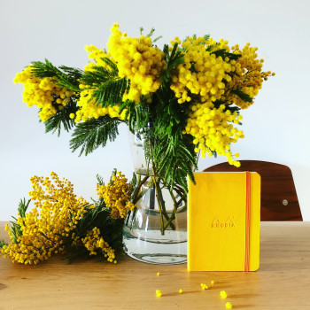Rhodia Softcover Notebook - A5 - Daffodil Yellow - Lined - Picture 1