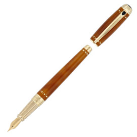 S.T. Dupont Line-D Large Fountain Pen - Derby Black & Gold