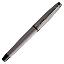 Waterman Expert Fountain Pen - Metallic Silver Ruthenium Trim - Picture 1