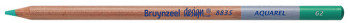 Bruynzeel Design Aquarel Colour Pencil - Dark Leaf Green
