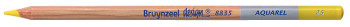 Bruynzeel Design Aquarel Colour Pencil - Lemon Yellow