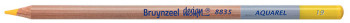Bruynzeel Design Aquarel Colour Pencil - Naples Yellow