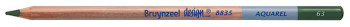 Bruynzeel Design Aquarel Colour Pencil - Olive Green