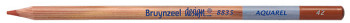 Bruynzeel Design Aquarel Colour Pencil - Sienna