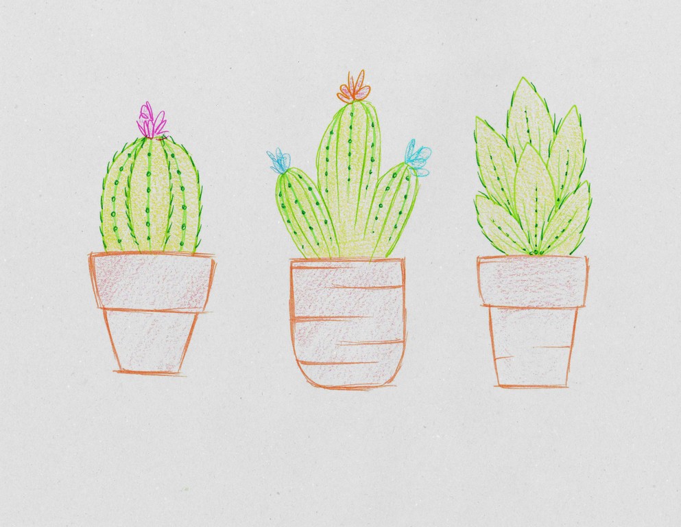 Plant Drawings 2